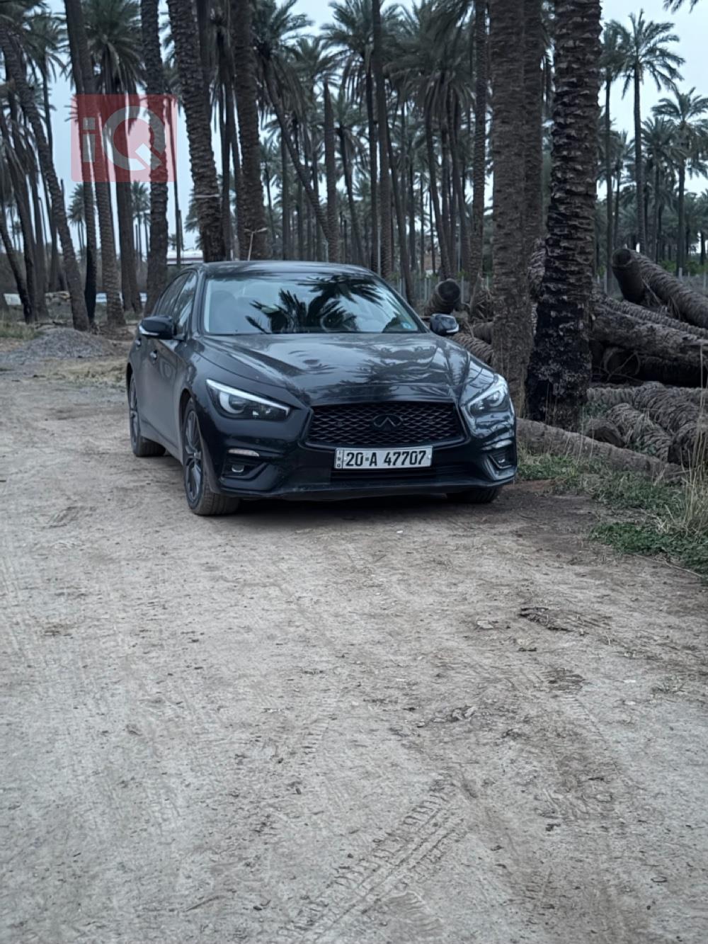 إنفينيتي Q50